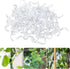 50 PCS Secured Plastic Plant Clip,Climbing Plant Support Garden Clips,For Support,Grape Vine,Tomato Vine, Vegetables Plants,Vine to Grow Upright a...