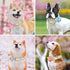 Beirui Cute Girl Dog Collars for Female Dogs, Floral Dog Collar with Spring Flower Patterns, Soft Pink Pet Collars for Small Medium Large Dogs(Pin...