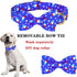 Dog Collar Bow Tie Blue Popsicle Star Dog Collar Girls with Safety Metal Buckle Adjustable Puppy Collars for Small Medium Large Dog (M)...