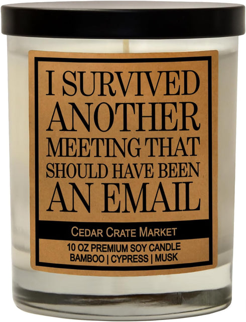 Cedar Crate Market - Funny Candles for Women, Men, Adult Humor - This Meeting Could Have Been an Email - Funny Gift for Coworkers, Boss, Work Best...