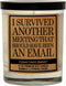 Cedar Crate Market - Funny Candles for Women, Men, Adult Humor - This Meeting Could Have Been an Email - Funny Gift for Coworkers, Boss, Work Best...