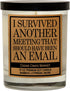 Cedar Crate Market - Funny Candles for Women, Men, Adult Humor - This Meeting Could Have Been an Email - Funny Gift for Coworkers, Boss, Work Best...