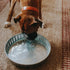 Behrens Galvanized Steel Pan, 1-Gallon...