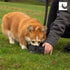 RC Pets On The Go Bowl, Dog Travel Bowl, Heather Black...