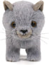 Ice King Bear Fluffy Little Cat Stuffed Animal Small Plush Toy 6 Inches (Gray)...