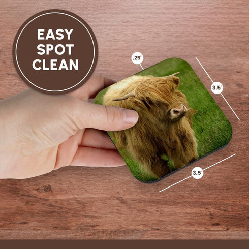 3dRose Scotland, Highland Cow, Farm animal-EU36 CMI0128-Cindy Miller Hopkins-Soft Coasters, Set of 8 (CST_82799_2)...