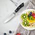 Paring Knife, 4 inch Small Kitchen Knife Ultra Sharp German Stainless Steel Fruit and Vegetable Cutting Chopping Knives - Full Tang Ergonomic Hand...