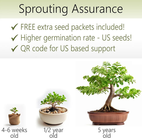 Bonsai Starter Kit – 2X Bonsai Tree | Complete Indoor Starter Kit for Growing Bonsai Plants with Tools & Planters – Gardening Gifts for Women & Me...