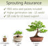 Bonsai Starter Kit – 2X Bonsai Tree | Complete Indoor Starter Kit for Growing Bonsai Plants with Tools & Planters – Gardening Gifts for Women & Me...