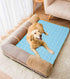 SOMOYA Dogs Self Cooling Mat Pet Cool Pads Blanket Hot Weather Sleeping Kennel Mat,Washable Ice Silk Sleep Mat Pad Non-Toxic Breathable for Large ...