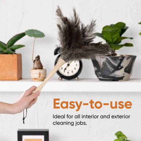 Superio Ostrich Feather Duster Fluffy Dust Remover, with Wooden Handle Reusable for Cleaning Homes, Ceilings, and Furniture (3 Pack) (1 Pack)...
