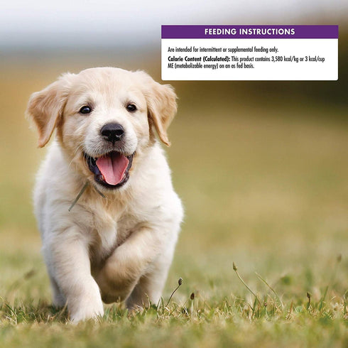 Wellness Crunchy Puppy Bites Training Dog Treats Natural Grain Free (2 Pack of Chicken & Carrots 6oz Bag) Bundle with Luving Pets Waste Bag Dispen...