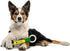 JOHN DEERE DOG TUG TOY. SHOVEL Shaped Toy with inner Squeaker. TOUGH, STURDY PET TOY with John Deere Logo. BEST DOG DIGGING TOY for DOG OWNERS, Fa...