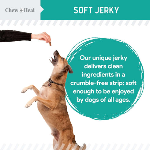 Chew + Heal Labs Probiotic Salmon Jerky Dog Treats - 5 oz of Salmon Jerky for Digestive Health - Made with Wild Alaskan Salmon, Apples, Pumpkin, P...