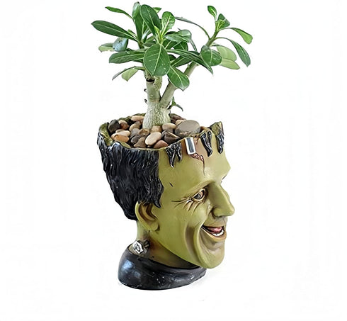 Funny Planter Youfui Head Planter with Drainage Hole Resin Plant Pot Pencil Holder Desk Storage (Frankstein)...
