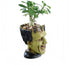 Funny Planter Youfui Head Planter with Drainage Hole Resin Plant Pot Pencil Holder Desk Storage (Frankstein)...