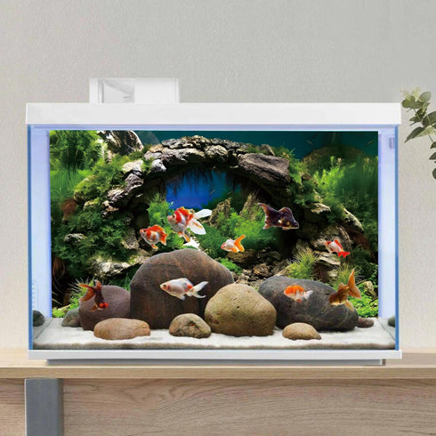 AWERT 24x12 inches Arch Stone Aquarium Background River Bed & Lake Aquarium Vinyl Background Aquatic Plant Fish Tank Background...