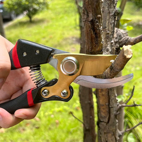 Pruning Shears for Gardening, Garden Shears Heavy Duty, Professional Bypass Pruner Hand Shears, Tree Trimmers Secateurs, Garden Clippers for Plant...