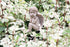 Decorative Angel Garden Stakes 2 Pack Miniature Angel Fairy Garden Angel Ornaments Small Angel Memorial Statue Fairy Garden Accessories...