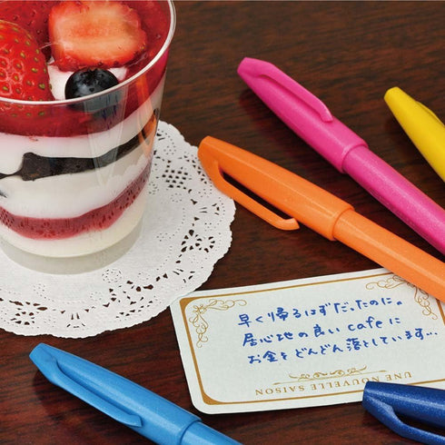 Pentel SES15C-12 Autograph Pen, Brush Touch, Set of 12 Colors...