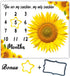 Flannel Baby Monthly Milestone Blanket, You are My Sunshine, 48x40inch...