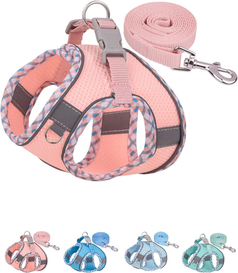 Petank Dog Harness for Small Medium Dogs No Pull, Puppy Harness and Leash Set, Easy Walk Dog Harness for Walking, Running, Training, Small Dog Har...