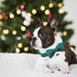 Lionheart glory Dog Bow Collar Christmas Dog Collars Adjustable Soft Dog Collars with Bowtie, Fall Collars Bow Tie for X-Large Dogs Pet Gift...