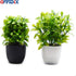 OFFIDIX Mini Plastic Artificial Eucalyptus Leaves Topiary Plant with Pots,Faux Plant Small Plants for Home,Office and Bathroom Decoration...