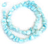 ARTSY Crafts Natural Trochus Shell Beads, Irregular Freeform Ocean Top Shell Chips Dyed Clam Loose Beads Drilled for Jewelry Making Bracelets Neck...