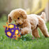 Interactive Dog Toys Soccer Ball - Bouncing Ball for Dogs, Jumping Dog Balls with Recording and Music Modes, Dog Birthday Toy, Rechargeable Moving...
