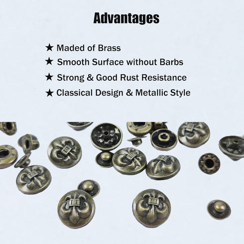 WETUFIN - 30 Sets Leather Snap Buttons Set 17MM (0.67inch) Bronze Snaps for Leather Snaps (Bull & Lion & Anchor Style) and Fastener Kit Tool Decor...