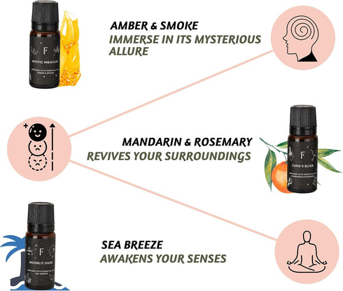 Folkulture Fragrance Oils for Diffusers, Set of 6 Essential Oils Set for Diffuser for Home, Diffuser Oil Scents - Palo Santo Sandalwood Lavender W...