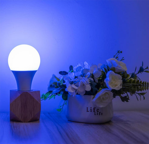 Smart Bulb A19 RGBCW LED Light 2.4 GHz Wi-Fi, 9W (Equivalent to 60W) 800LM, Voice Compatible with Alexa,Google Assistant and IFTTT, Multicolor 270...