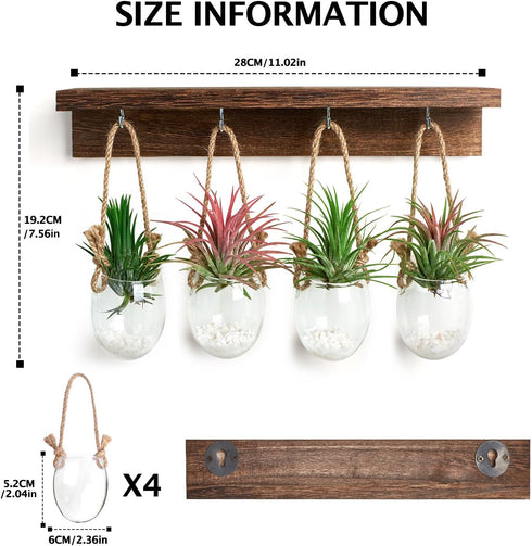 4 Pcs Wall Hanging Glass Plant Stand indoor, Desktop Propagation Stations Plant Pot Wall vase with Wooden Stand Eggshell Shape-Water Planting Air ...