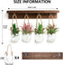 4 Pcs Wall Hanging Glass Plant Stand indoor, Desktop Propagation Stations Plant Pot Wall vase with Wooden Stand Eggshell Shape-Water Planting Air ...