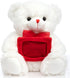 HollyHOME Teddy Bear Stuffed Animal Plush Bear with Red Bow Holding a Picture frame Soft Plush Toy Christmas Valentine's Day Gift 12 Inches White...