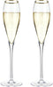 Viski Gold-Rimmed Crystal Champagne Flutes, Crystal Drinking Glasses, Stemmed Wine Martini Glass Set, Housewarming Wedding Wine Gift - Set of 2, 8...