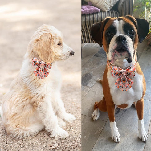 Unique style paws Dog Collar with Tie Adjustable Pink Bowtie Puppy Collars for Small Medium Large Dogs and Cats-M...