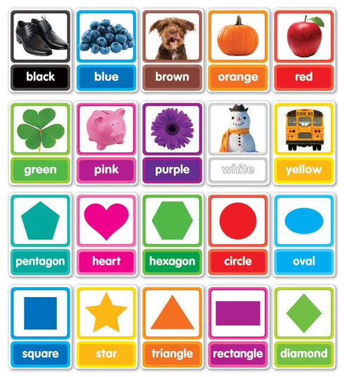 Colors & Shapes in Photos Bulletin Board...