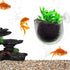 5 Pcs Plastic Aquatic Plant Pots, Aquarium Plant Pots with Suction Cups, Acrylic Aquarium Planter, Red Shrimp Live Plant Fish Tank Holder...