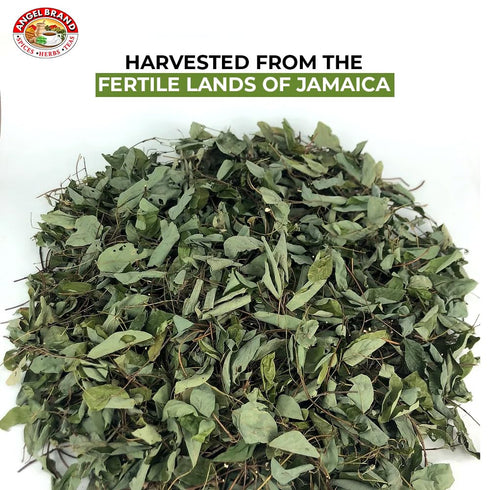 Angel Brand Jamaican Strongback Herb 0.25 oz Pouch Pack of 3 - Sourced from Fertile Land of Jamaica- Strongback Earthy,Woody & Bitter Flavor - Pro...