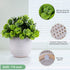 Artificial Lysimachia Plants in Ceramic Planter Cute Fake Succulent Flowers Potted for Home Office Table Desk Decor Living Room Bathroom Bedroom S...