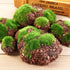 6Pcs Foam Moss Green Hay Stone DIY Family Garden Decoration Vase Glass Moss Miniature Landscape Artificial Plant...