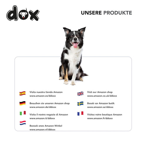DDOXX Nylon Dog Leash - 6.6 ft, 3-way Adjustable Leash Dogs - S (Blue)...