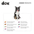 DDOXX Nylon Dog Leash - 6.6 ft, 3-way Adjustable Leash Dogs - S (Blue)...