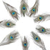12 PCS Real Natural Peacock Eye Feathers 10-12 inch for DIY Craft, Wedding and Holiday Decorations...