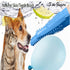4-in-1 Pet Grooming Gloves for Washing and Hair Removal,Gentle Double-Side Brush Gloves Effective in Removing Pet Hair and Stain for Dog &Cat & Ho...