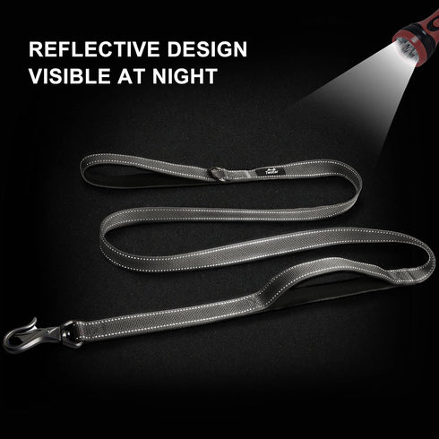 TwoEar 6FT 1IN Strong Gray Dog Leash with 2 Padded Handles, Traffic Handle Extra Control, Comfortable Soft Dual Handle, Auto Lock Hook, Reflective...