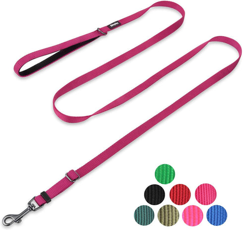 Hyhug Pets Premium Upgraded Adjustable Between 4 Feet and 6 Feet Leash with Durable Nylon and Super Soft Neoprene lined Handle for Young Dogs Dail...