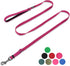 Hyhug Pets Premium Upgraded Adjustable Between 4 Feet and 6 Feet Leash with Durable Nylon and Super Soft Neoprene lined Handle for Young Dogs Dail...